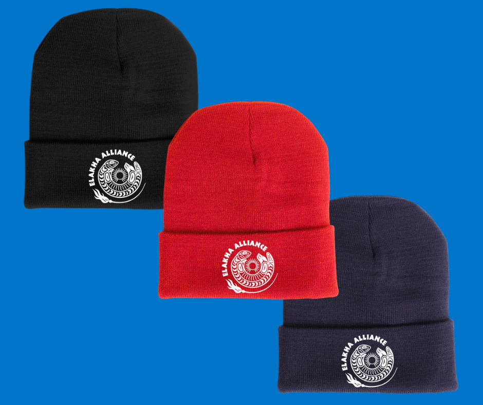 three beanies of various